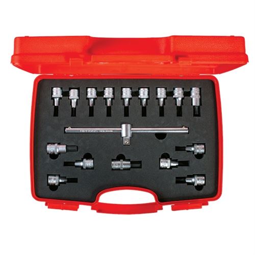 İzeltaş 1113006017 Lokmalı Allen ve Torx Uç Takımı 17 Parça 1/2''