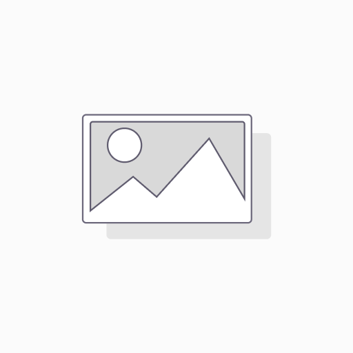 Kavi Sungur Oto Fırça XL Premium Kutulu